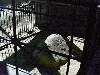 The disappointing Plymouth Rock
