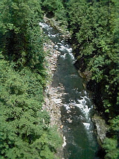 View of the Gorge from the bridge
